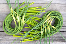 Organic Garlic Scapes