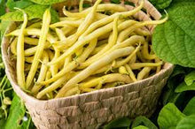 Organic Beans - Yellow - 1b