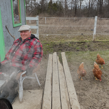 Free Range Extra Large Eggs