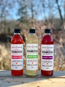 Kombucha Variety Pack - Case of 12