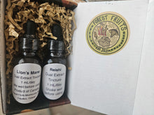 Focus Pack. Lion's Mane and Reishi dual extract tinctures.