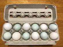 Free range Coloured Eggs