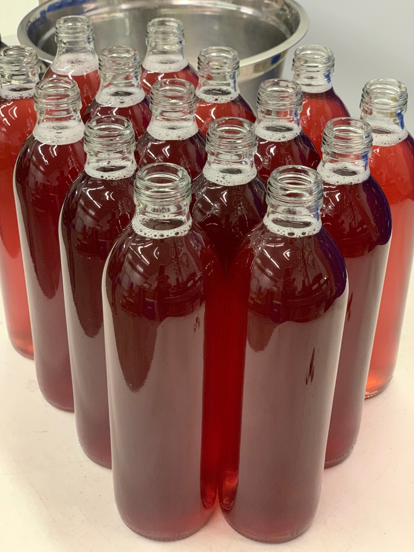 Kombucha - BLUEBERRY VERBENA - 500ml Bottle