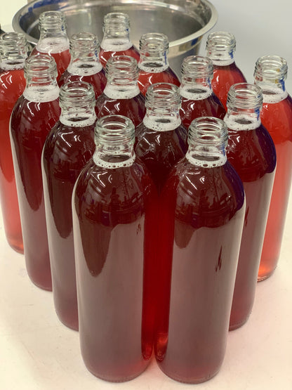 Kombucha - BLUEBERRY VERBENA - 500ml Bottle