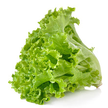 Green Leaf Lettuce Head