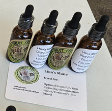 Dual Extract Lion's Mane Mushroom Tincture