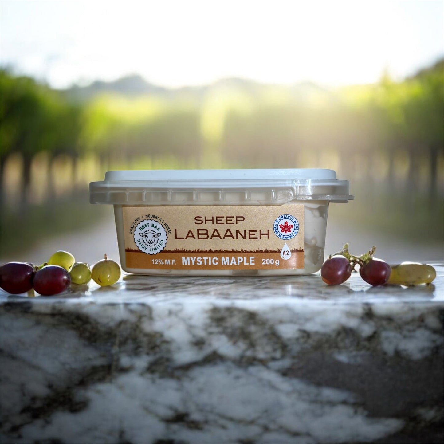 Maple Labaneh Sheep Cheese