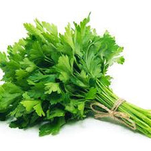 Italian Parsley