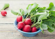 Radish with Tops