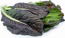 Red Mustard Greens