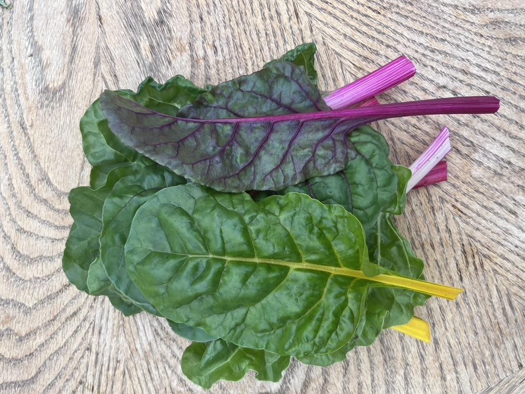Mixed Rainbow Swiss Chard