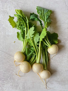 Salad Turnips