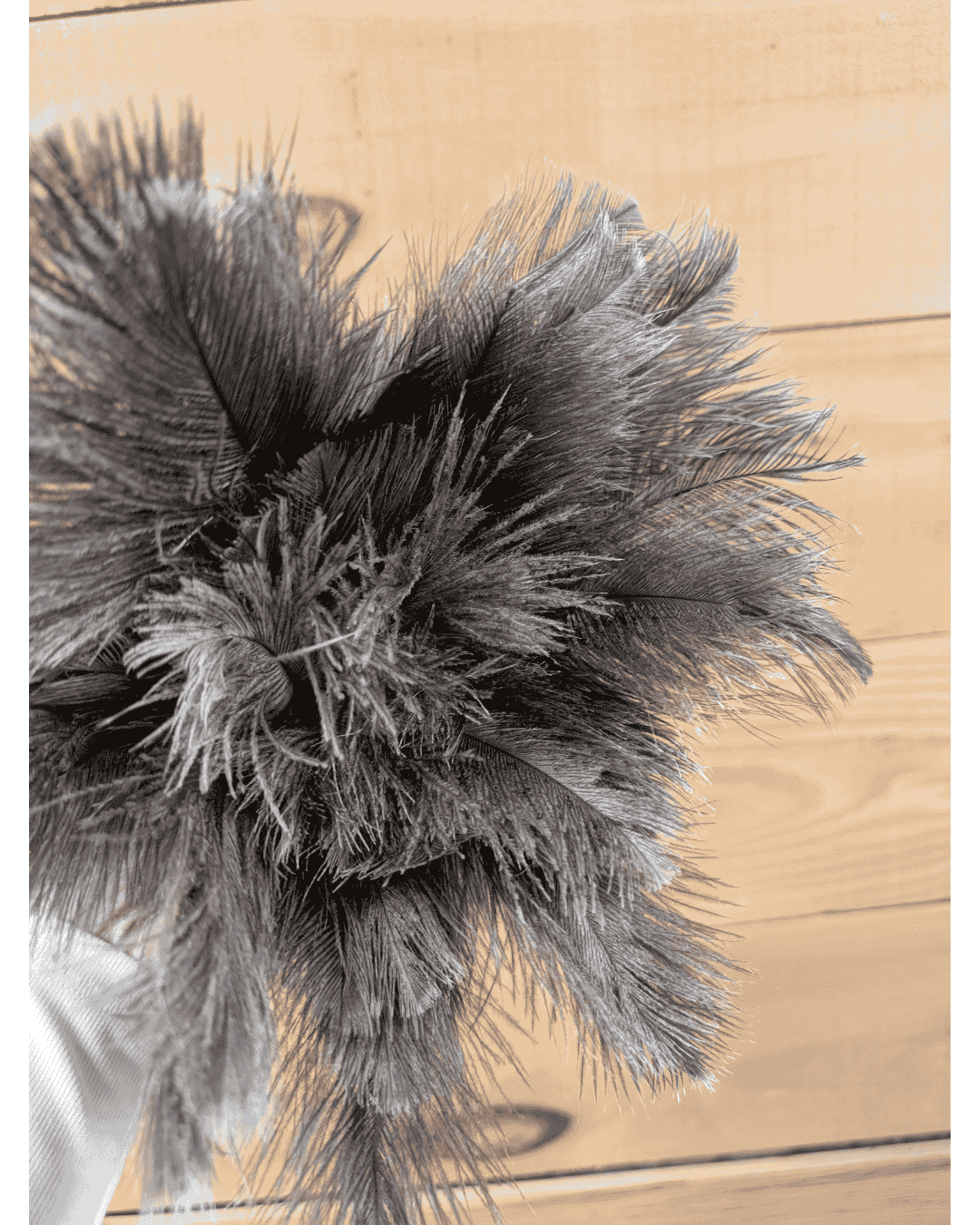 Ostrich feather duster